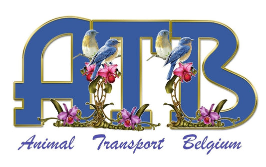 Global Elite Pigeon & Avian // Transport: The Diamond Wings Standard